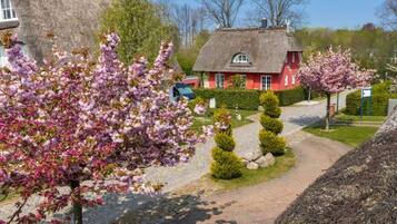 Villa | Property grounds