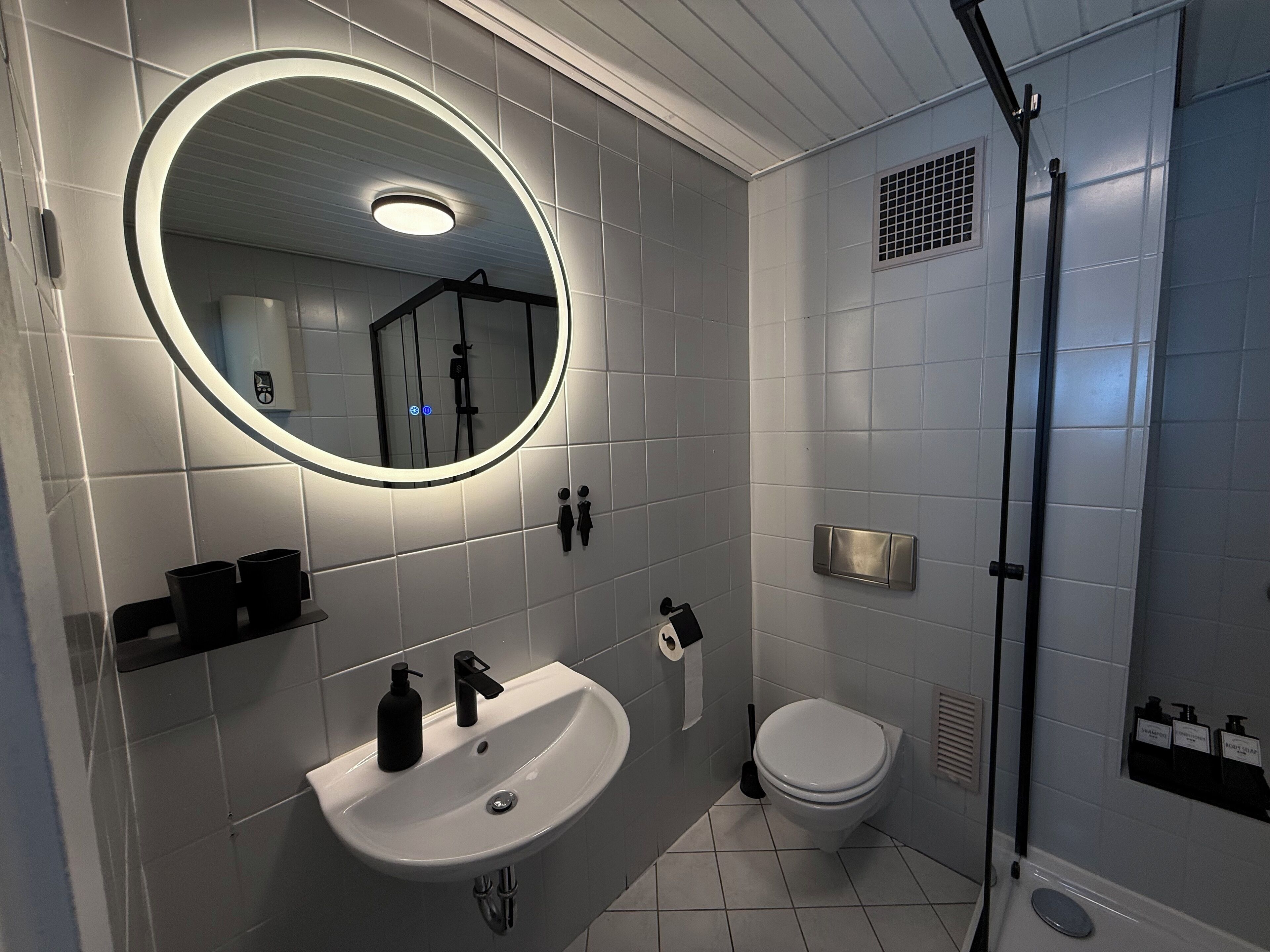 Shower, towels, soap, toilet paper