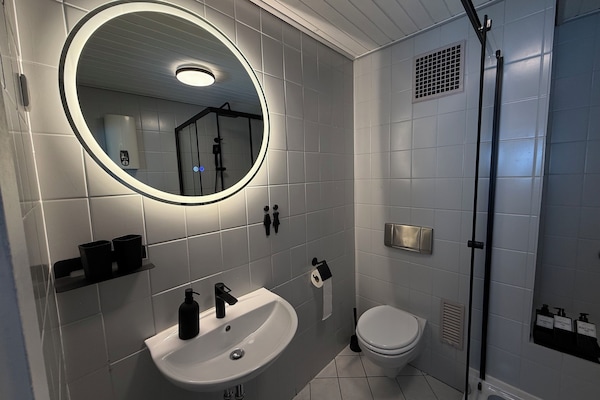 Shower, towels, soap, toilet paper