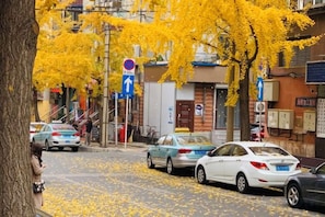 A street scene with cars parked along the side, buildings in the background, and a tree with yellow leaves in the foreground. - City Boutique Hotel(Dalian Railway Station People Saunare Subway Branch (Dalian)