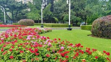 Terrein van de accommodatie