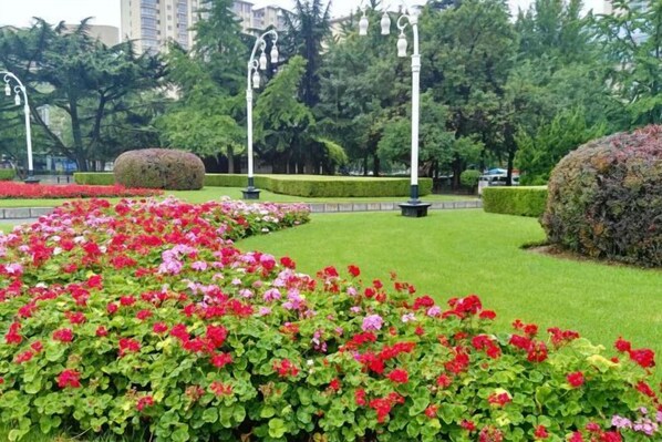 Unclassified image, 1 of 20, button - City Boutique Hotel(Dalian Railway Station People Saunare Subway Branch (Dalian)