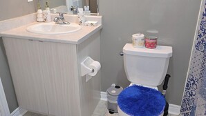 Une salle de bain avec un lavabo blanc, un miroir, des toilettes dotées d’une housse de siège bleue, et un tapis bleu sur le sol.