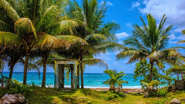 Une scène de plage tropicale avec des palmiers, une structure en pierre et l’océan.
