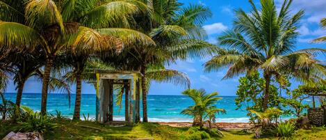 Une scène de plage tropicale avec des palmiers, une structure en pierre et l’océan.