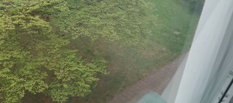 Vacation room in Munich