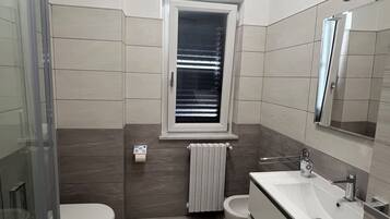 Shower, hair dryer, bidet, towels