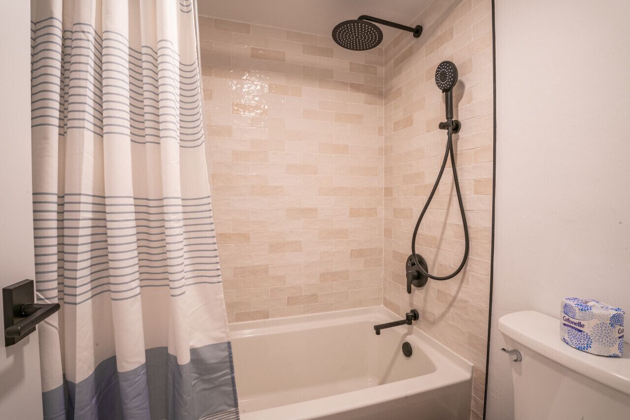 A bathroom with a shower, a toilet, and a curtain.