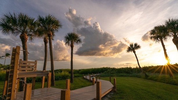 A wooden deck with a bench, surrounded by palm trees and a grassy area.