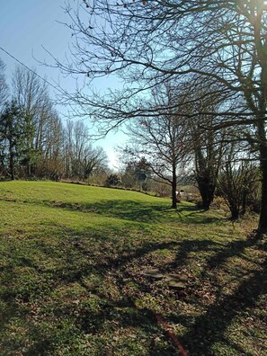 Property grounds - BUTTERFLY COTTAGE : rustic & charming cottage in Normandy (Tessy-Bocage)