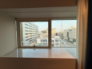 City view from property