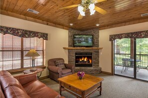 Smart TV, fireplace, DVD player, books
