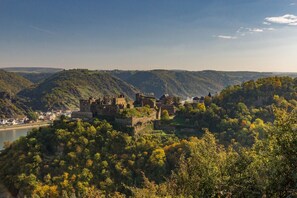 Eine historische Burg auf einem Hügel mit Blick auf einen Fluss, umgeben von üppiger Vegetation.