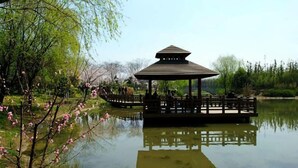 A gazebo with a tiled roof, surrounded by a wooden deck, over a calm body of water, with trees and shrubs in the background. - Huile Holiday Hostel (Shanghai)