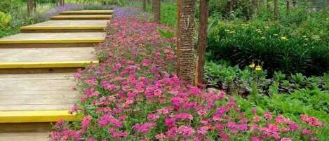 Overnattingsstedets uteområder