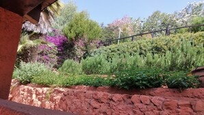 A garden with various plants and a stone wall. - Villetta Kala e Moru "Sa Oghe e su Mare" (Quartu Sant'Elena)
