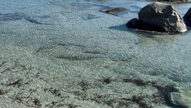 A beach with clear shallow waters, large rocks, and seaweed. - Villetta Kala e Moru "Sa Oghe e su Mare" (Quartu Sant'Elena)