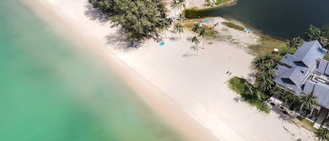 Vista aérea de una playa con una casa y palmeras.
