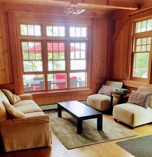 Smart TV, fireplace, DVD player, video library