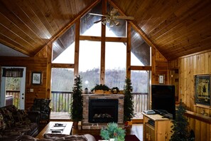 TV, fireplace