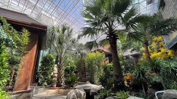 Una serra con piante tropicali, un vialetto in pietra e un soffitto in vetro.