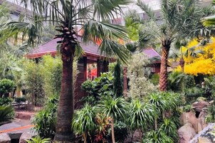 Un jardín con un mirador, palmeras y diversas plantas.