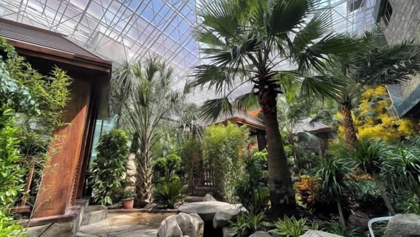 A greenhouse with a glass ceiling, various plants, and a small water feature. - Peoples Hotel (Lanzhou)