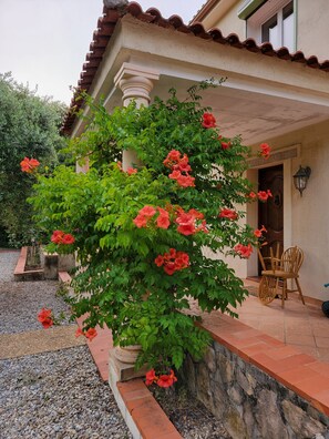 Détail de l’extérieur