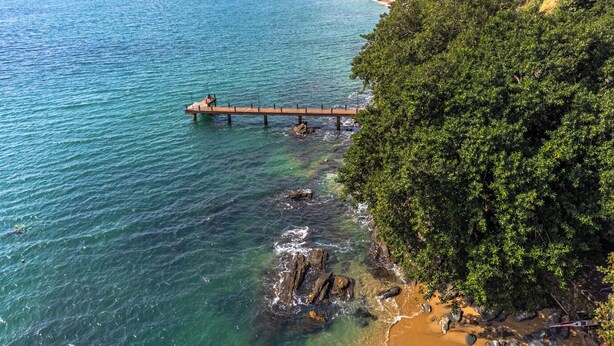 A coastal scene with a wooden pier extending into the sea, surrounded by dense greenery and rocky terrain.