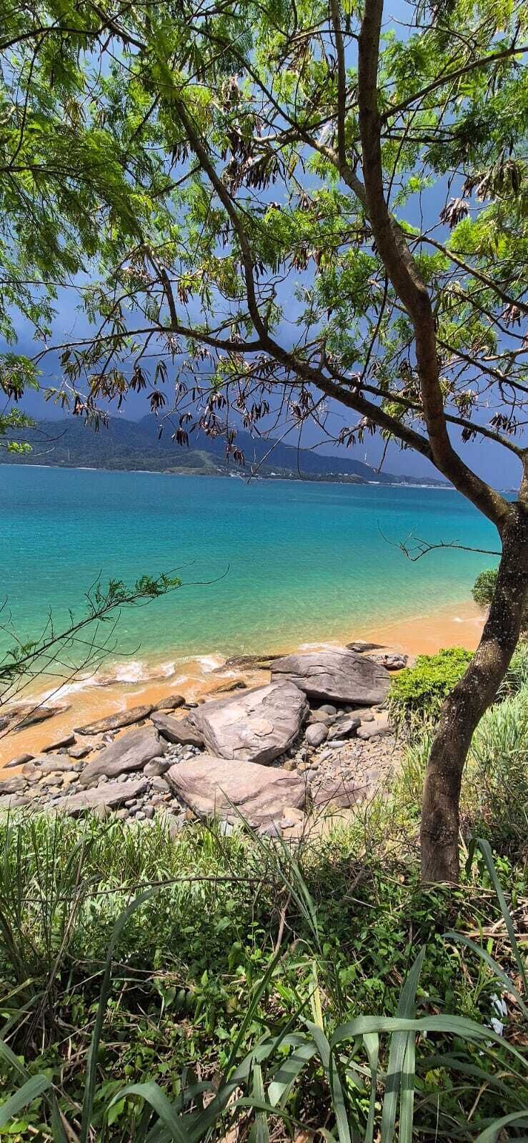 A beach with clear turquoise water, rocky shoreline, and lush greenery.