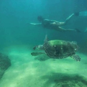 På stranden, hvidt sand, snorkling, strandbarer