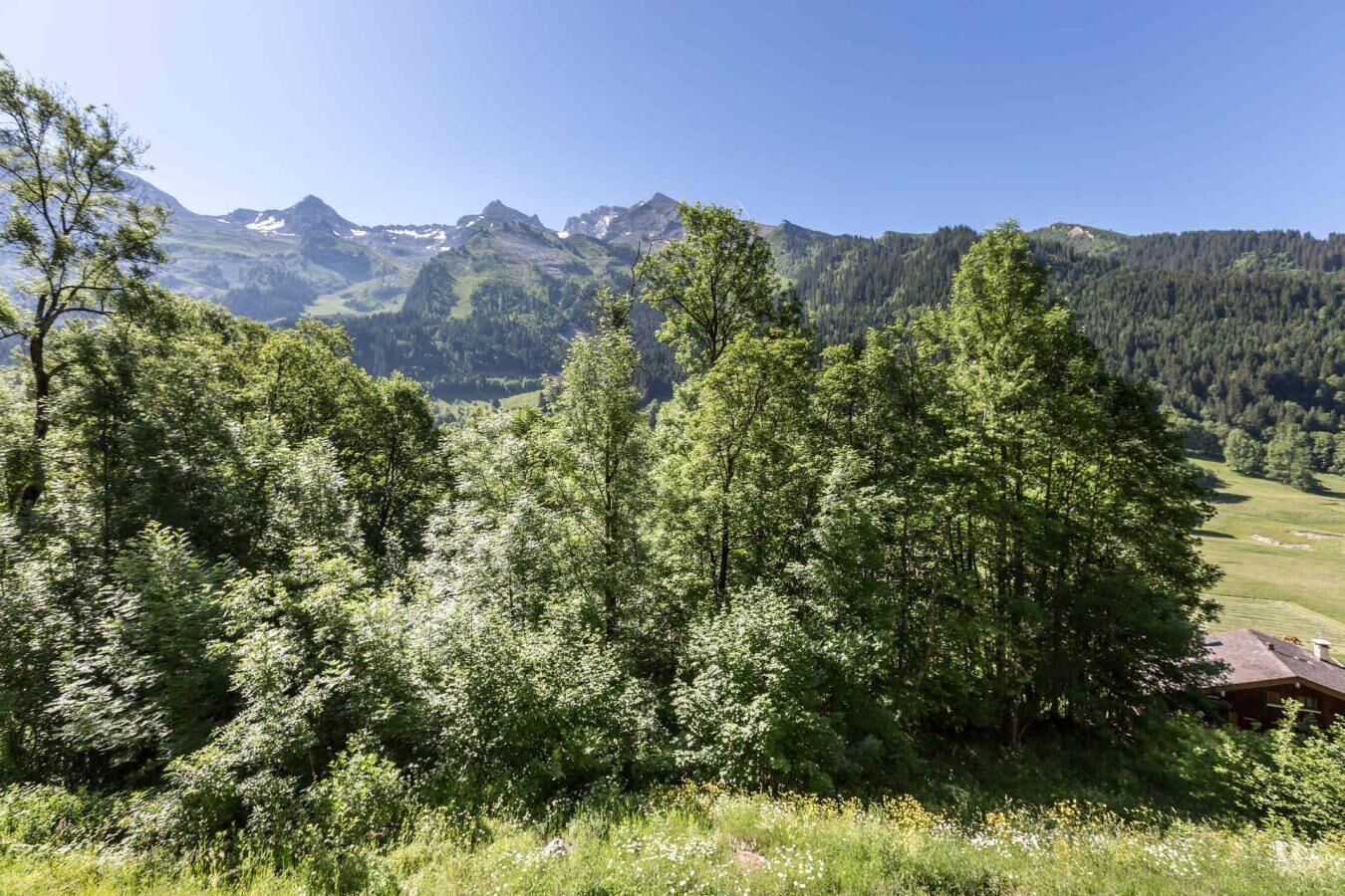 Een bergachtig landschap met dicht bos en een klein gebouw.