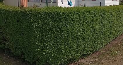 Mobil home entre terre et mer sur la cote d'opale mer Ă 2 km