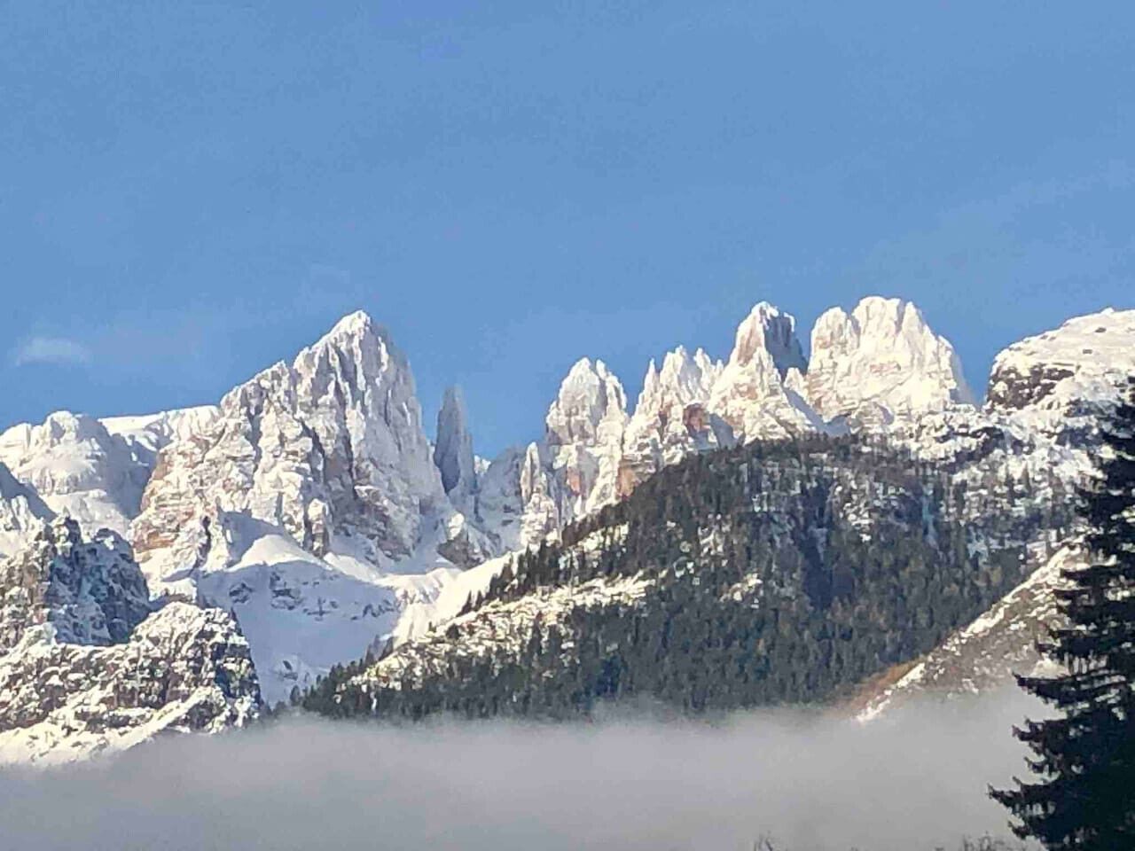 A mountainous landscape with snow-covered peaks and a forested area.