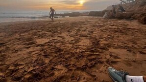 Nær stranden og surfing