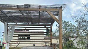 A wooden deck with a patterned bean bag, a hanging plant, and a pink flamingo statue. - American caravan🇺🇸 with private SPA, near Beauval (Chabris)