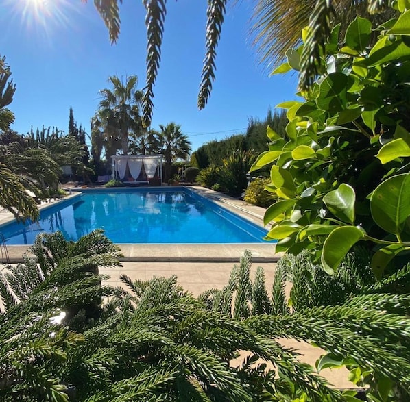 Piscina azul cristalina rodeada de exuberante vegetación y palmeras.