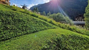A hillside with a building and a mountain in the background.