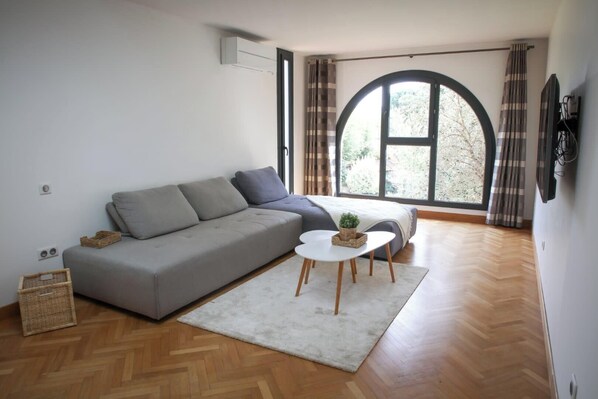 TV - Spacious apartment of 90 m2 in Toulouse (Toulouse)