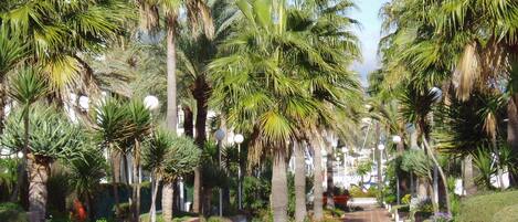 Studio, Multiple Bedrooms, Balcony, Ocean View | Garden