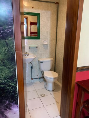 A small bathroom with a toilet, sink, and mirror. - Hostal Flying Donkey (Otavalo)