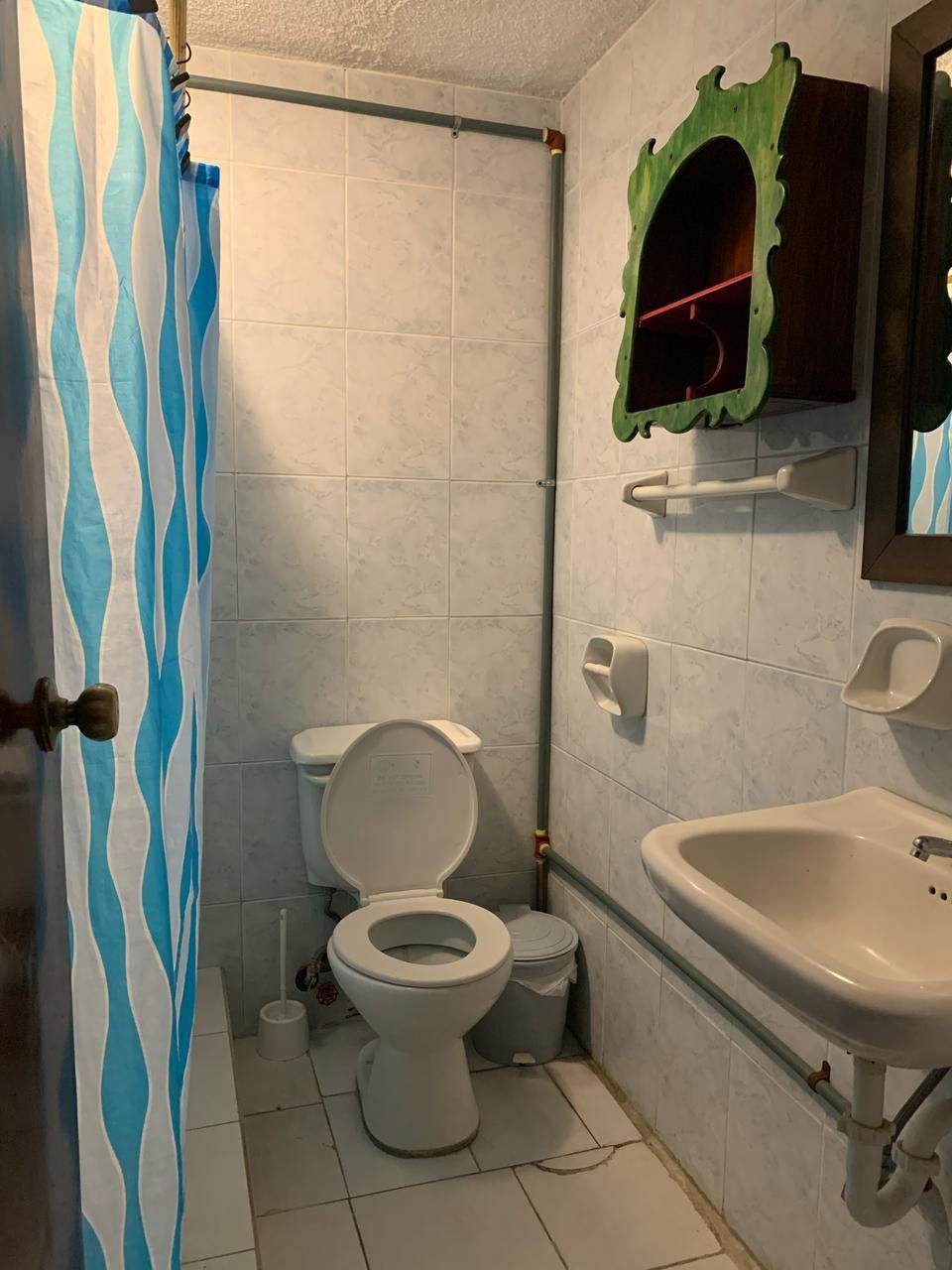 A bathroom with a toilet, a sink, and a shower curtain.