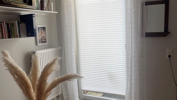 Un salon moderne doté d’une grande fenêtre, d’un radiateur, d’une bibliothèque et d’un vase décoratif contenant des plumes d’herbe des pampas.