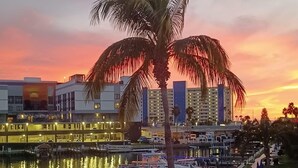 A marina with boats docked, a palm tree, and buildings in the background. -  Charming 2-bedroom, 1.5-bath condo located on the intercoastal waterway (Madeira Beach)