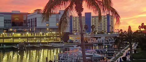 Marina
