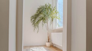 A hallway with a wooden floor, a potted plant, and a window with a view of the sky.