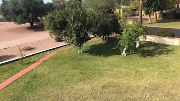 Overnatningsstedets område