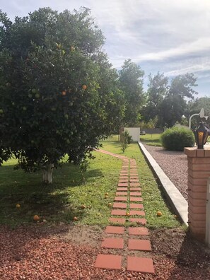 Enceinte de l’hébergement