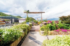 A garden pathway with a wooden pergola, surrounded by various plants and flowers.