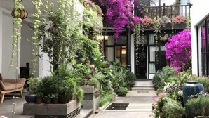 Un pati amb plantes en testos, una banca i una escala que mena a l'entrada d'un edifici.